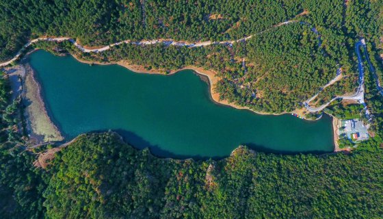 Boraboy Gölü'nde tatlı su ıstakozu görüntülendi