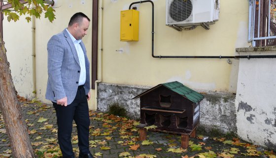 Amasya Belediyesi’nden 20 noktaya kedi evi