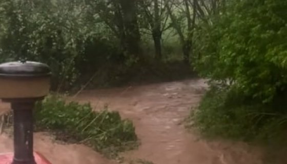 Amasya’da aşırı yağış yolları kapattı, hayvanlar mahsur kaldı