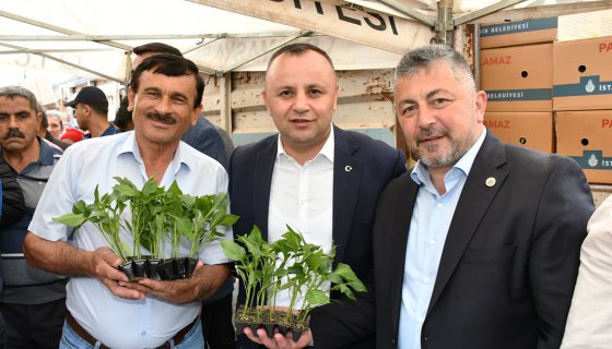 İBB’den Amasya’ya fide desteği
