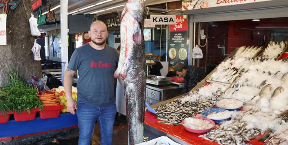 1 metre 70 santimlik yayın balığı görenleri şaşırttı