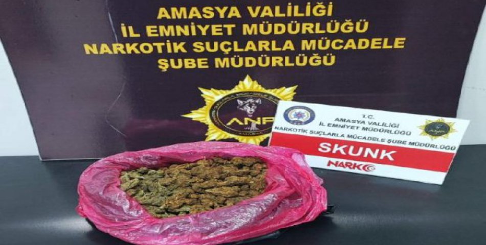 Amasya’da uyuşturucu operasyonu: 9 kişiden 2’si tutuklandı