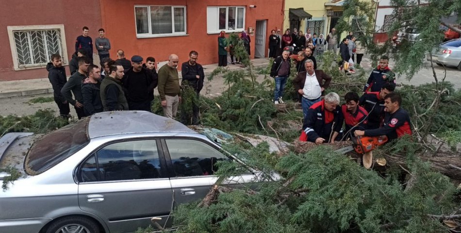 Amasya’da fırtınadan etkilenen ağaç otomobilin üzerine devrildi