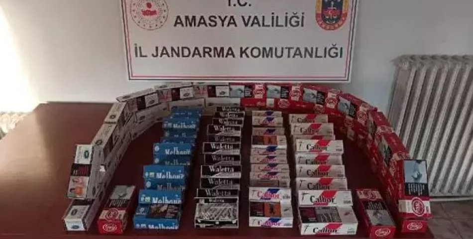 Amasya’da 18 bin dal makaron ele geçirildi