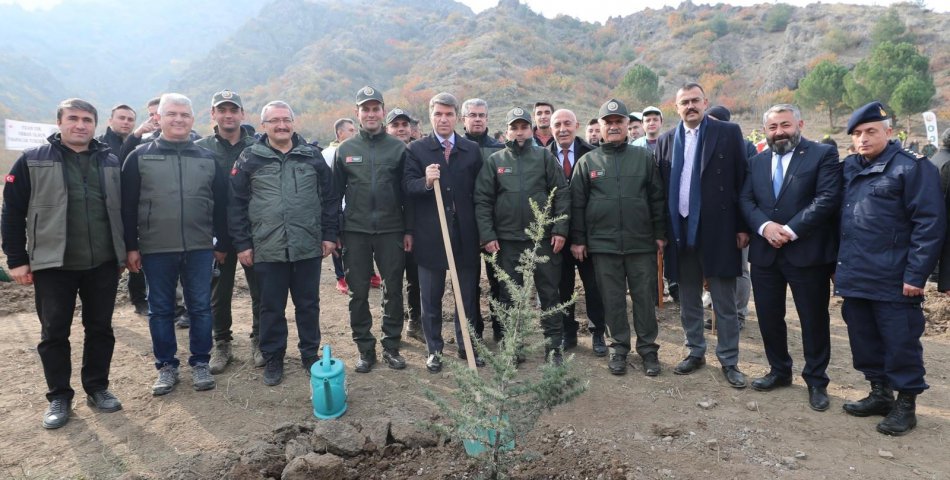 Amasya’da bin fidan toprakla buluştu