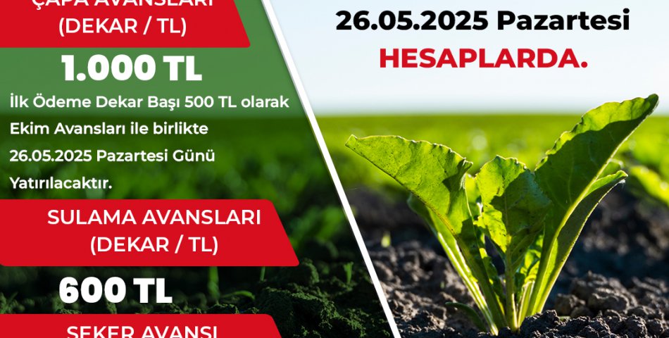 Çapa avansları 26 Mayıs’ta hesaplarda