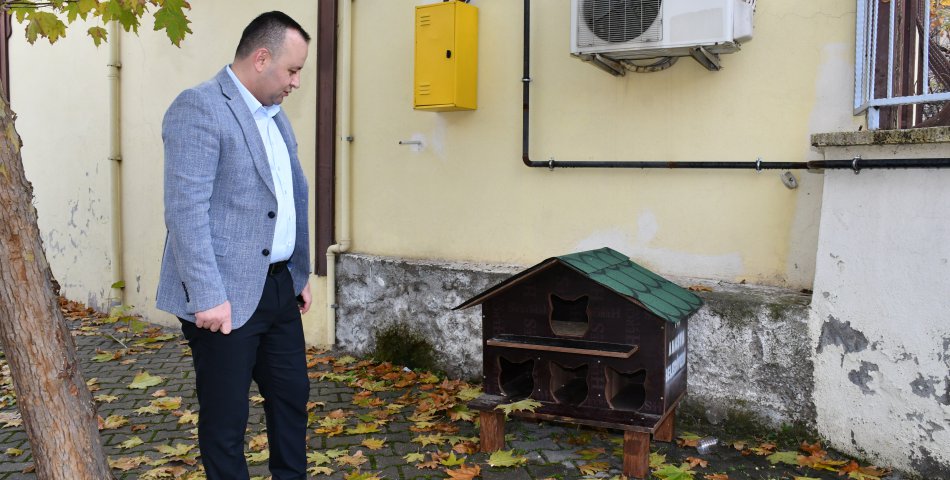 Amasya Belediyesi’nden 20 noktaya kedi evi