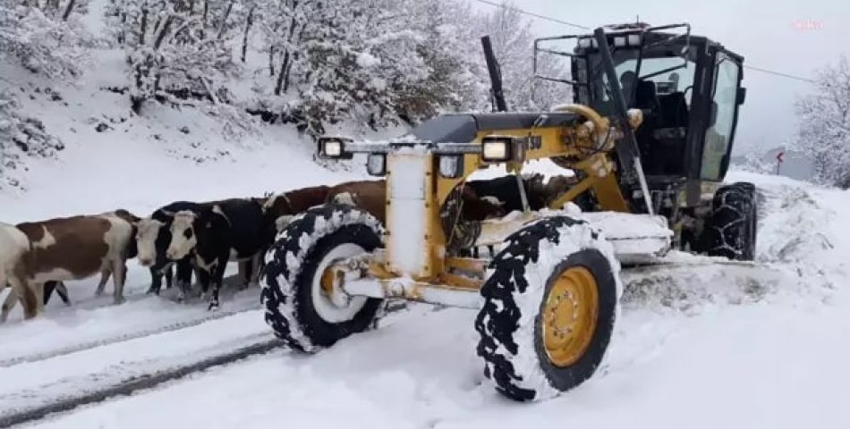 Amasya'da Kar Yağışı 107 Köy Yolunu Kapadı