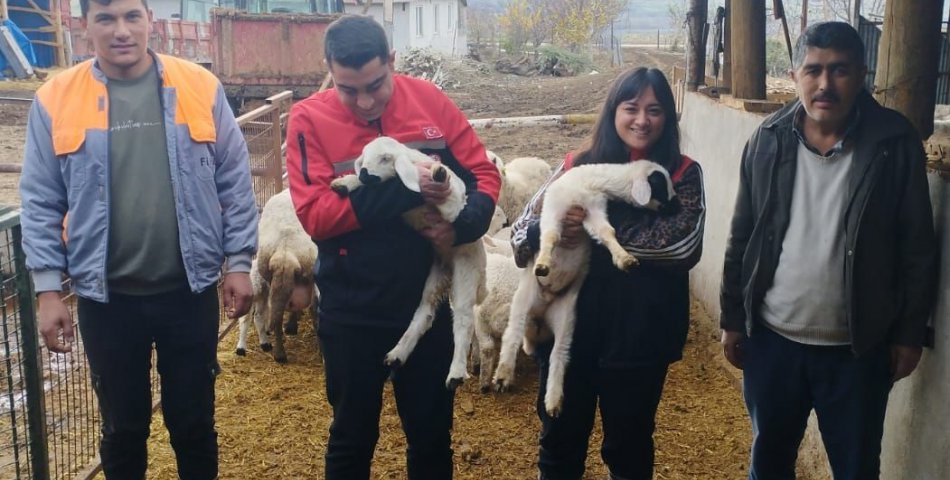 Hayvancılık işletmelerine denetleme