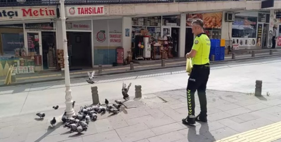 Göreve giden polis, güvercinleri besledi