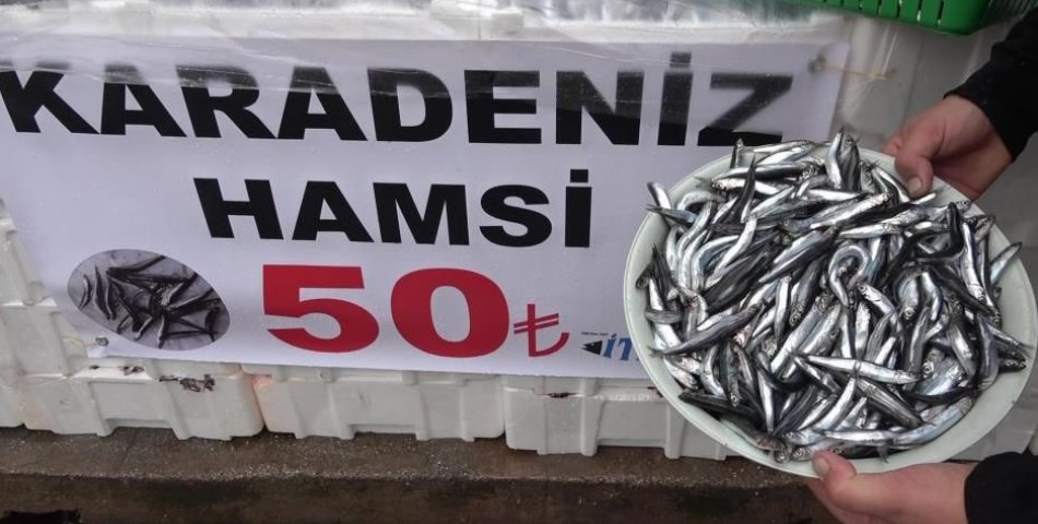 50 TL’ye düşen hamsiyi vatandaş poşet poşet aldı