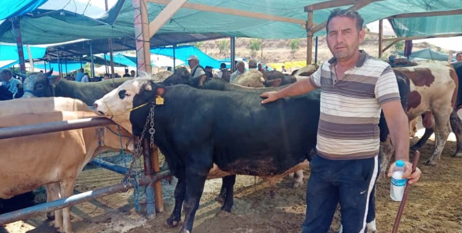 Hayvan pazarına pasaportsuz girişler yasak