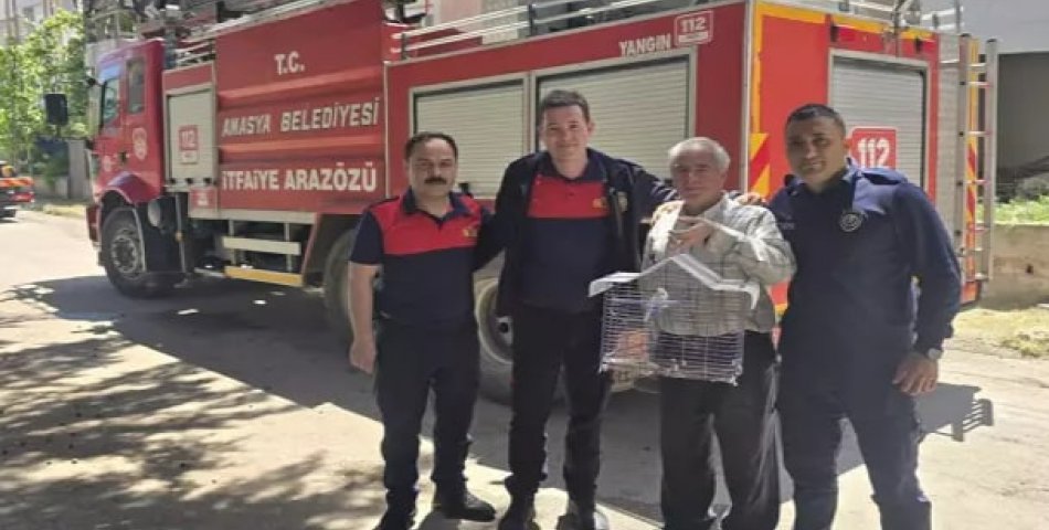Muhabbet kuşunu kurtaran sahibi ağaçta mahsur kaldı