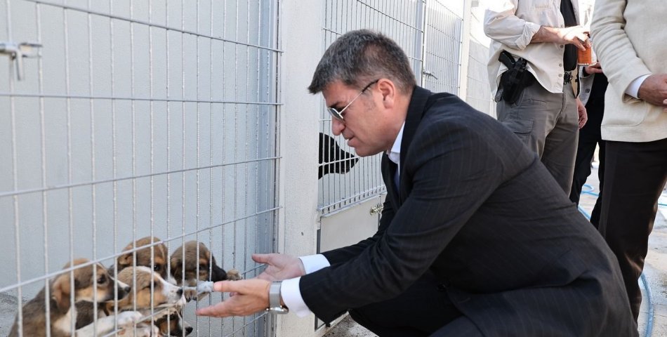 Vali Bakan: ‘Halkın olduğu kadar sokak hayvanlarının güvenliği de bizim için önemli’