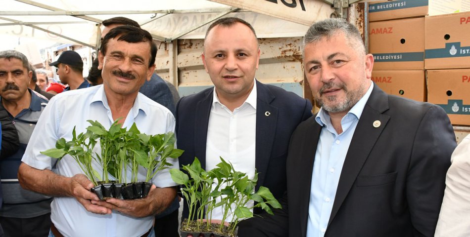 İBB’den Amasya’ya fide desteği