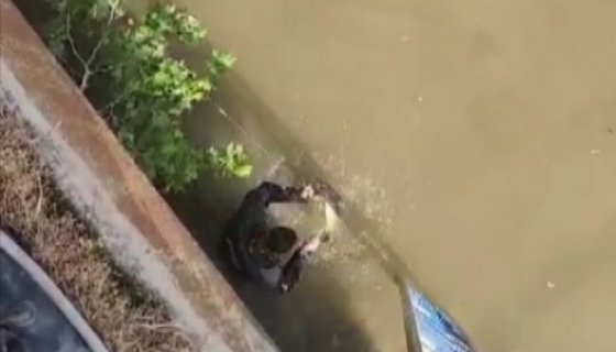 İtfaiye ekipleri ağlara takılan balığı kurtardı